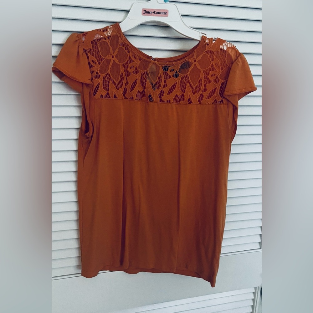 Cotton top